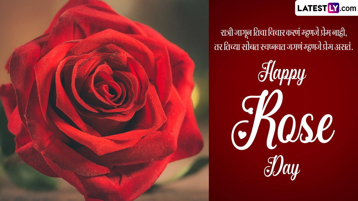 Happy Rose Day 2024 Wishes रोझ डे च्या शुभेच्छा WhatsApp Status